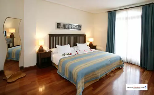 Fotos del hotel Palmera Plaza:  11