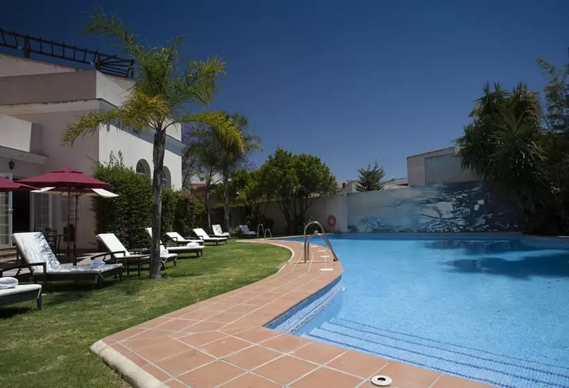 Fotos del hotel Palmera Plaza:  3