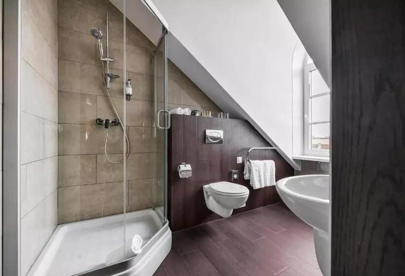 Fotos del hotel Amberton Cozy Hotel Kaunas:  32