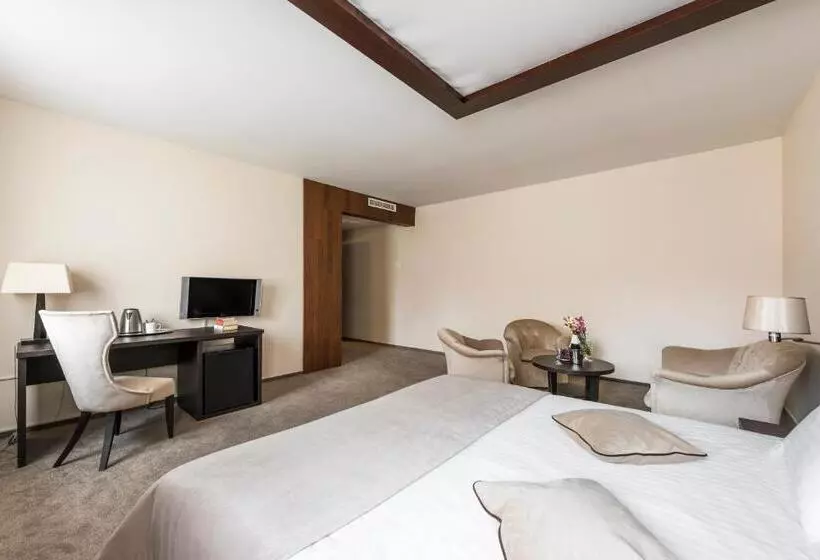 Fotos del hotel Amberton Cozy Hotel Kaunas:  14