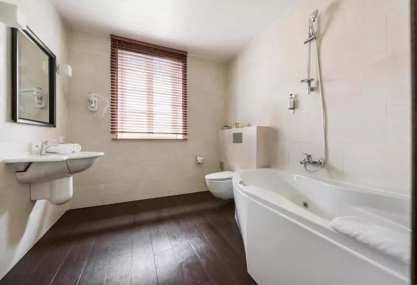 Fotos del hotel Amberton Cozy Hotel Kaunas:  35