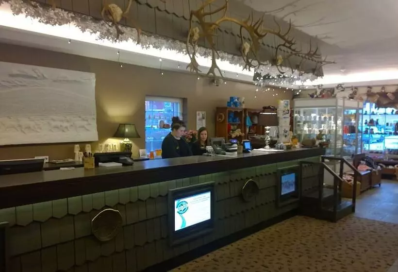 Fotos del hotel Hullu Poro:  8