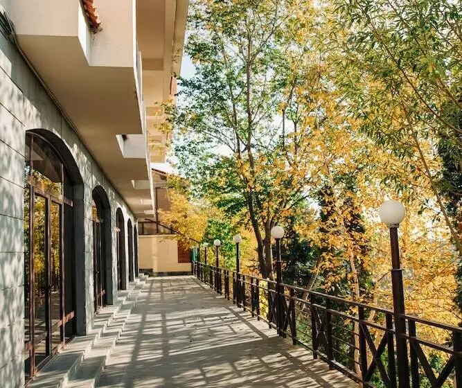 Fotos del hotel Olympia:  23