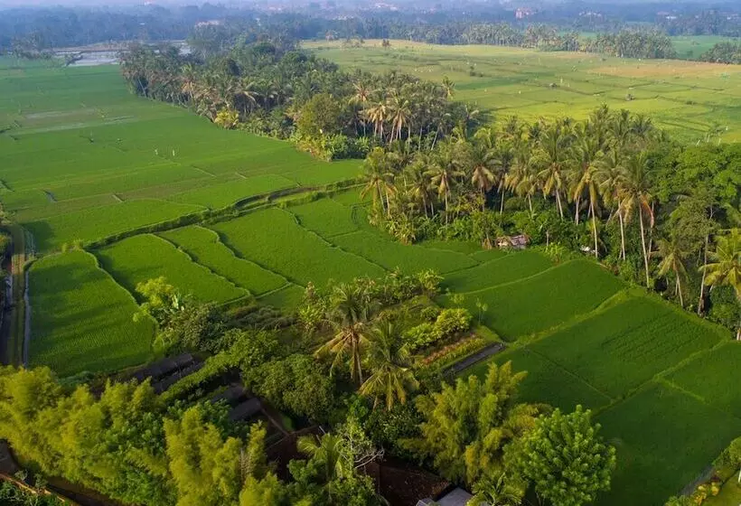 Fotos del hotel Tanah Gajah, A Resort By Hadiprana:  5