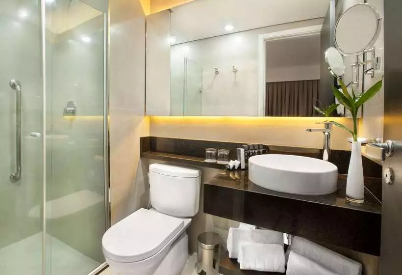 Fotos del hotel Meliá Ibirapuera:  24