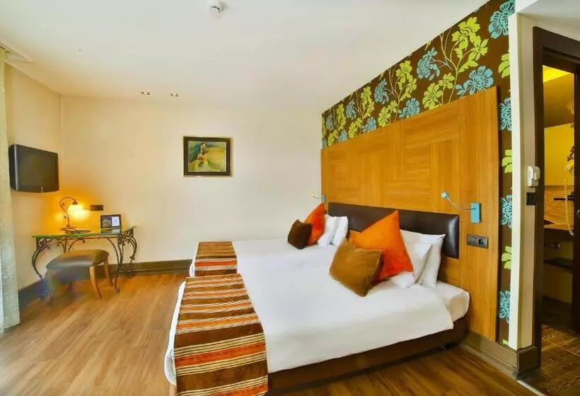 Fotos del hotel Konak Hotel Taksim:  16