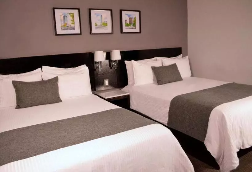 Fotos del hotel Laila  Cdmx:  2