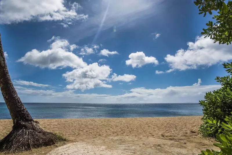 Fotos del hotel Rincon Of The Seas  Grand Caribbean:  5