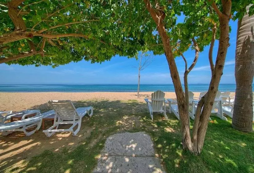 Fotos del hotel Rincon Of The Seas  Grand Caribbean:  14