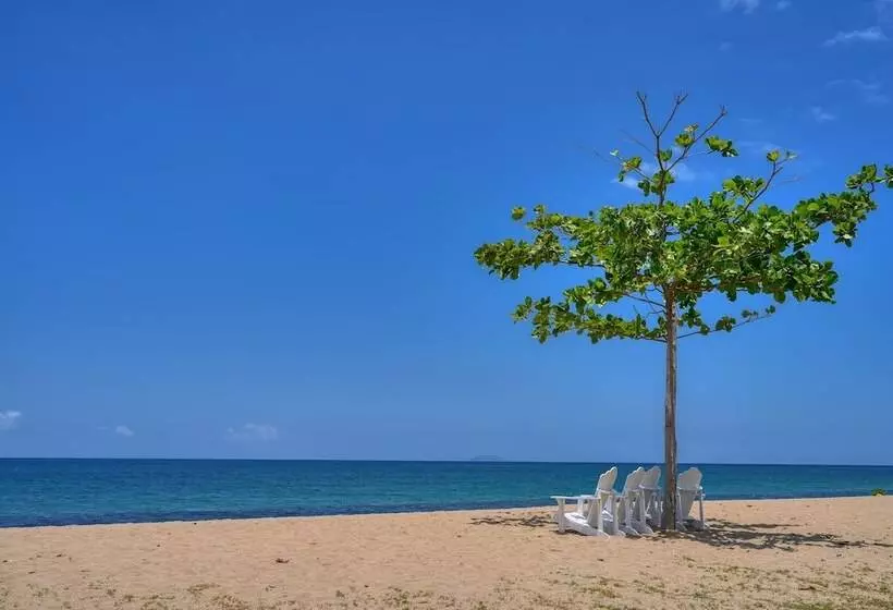 Fotos del hotel Rincon Of The Seas  Grand Caribbean:  22