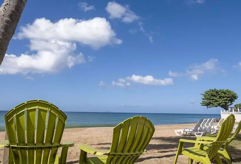 Fotos del hotel Rincon Of The Seas  Grand Caribbean:  18