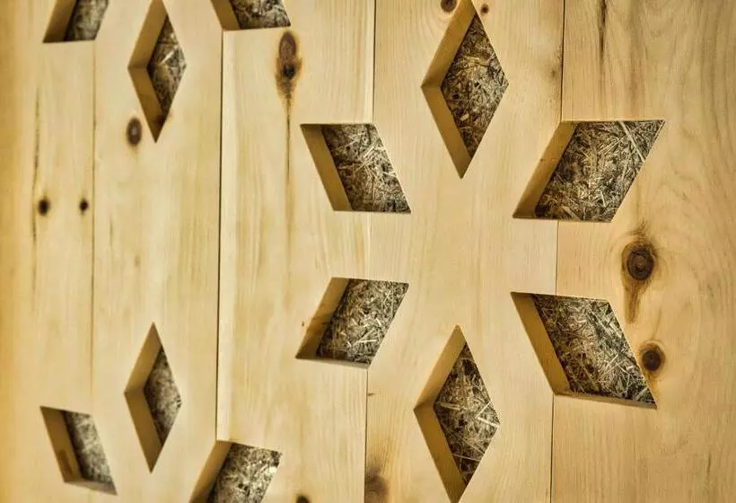 Fotos del hotel Zermama Zermatt:  8