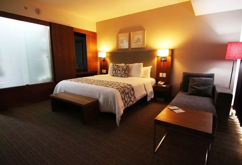 Fotos del hotel Casa Inn Premium  Queretaro:  19