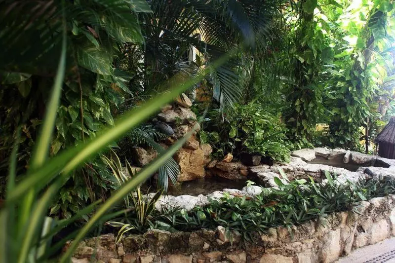 Fotos del hotel Colibri Beach:  9