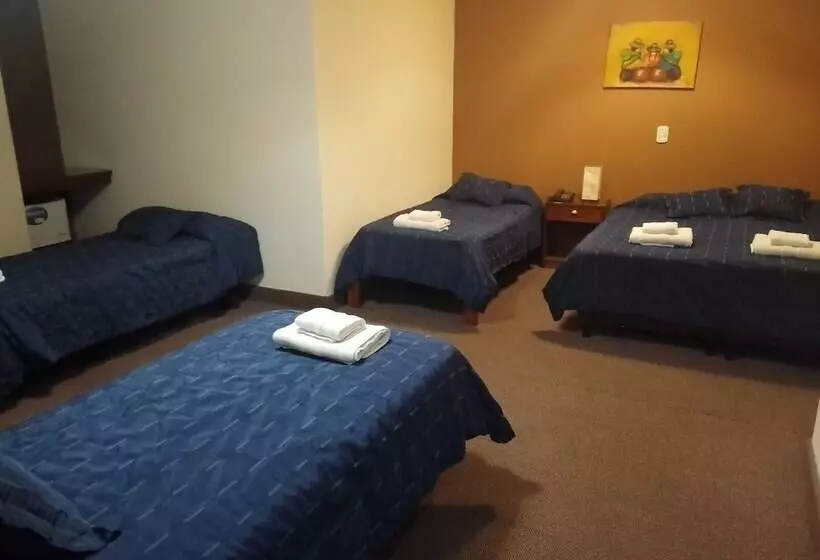 Fotos del hotel Shauard:  23