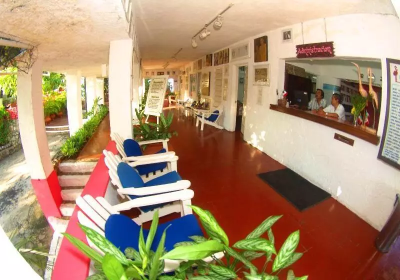 Fotos del hotel Los Flamingos:  13