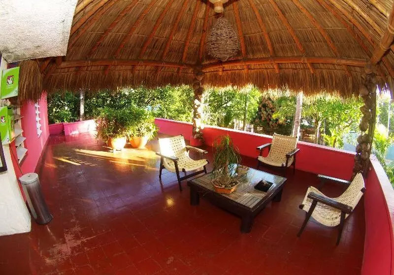 Fotos del hotel Los Flamingos:  6