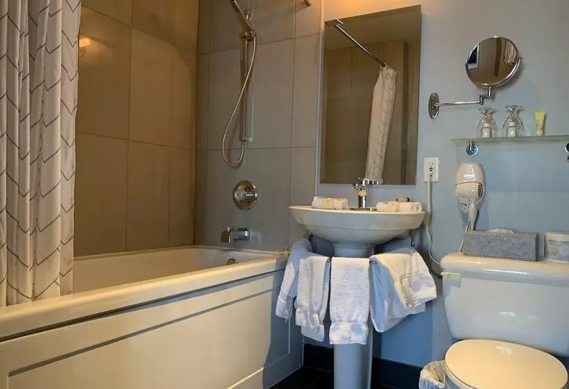 Fotos del hotel Le Saintpaul:  16