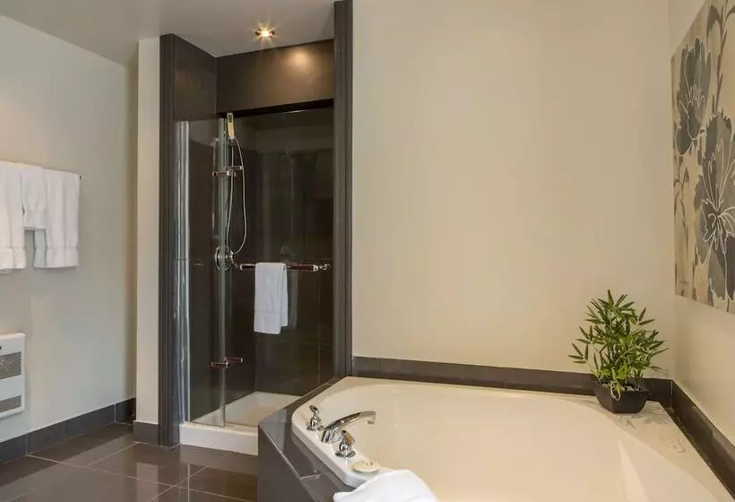 Fotos del hotel Le Saintpaul:  5