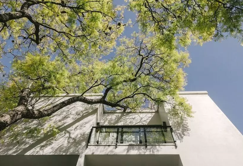 Fotos del hotel Matilda:  7