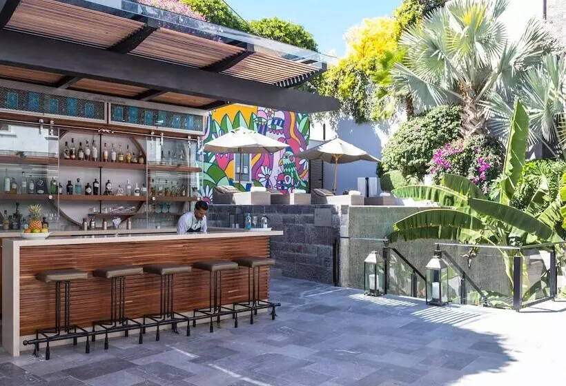 Fotos del hotel Matilda:  3