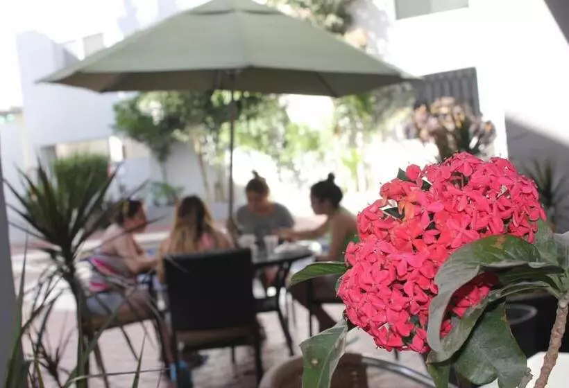 Fotos del hotel Seven Crown Express & Suites:  8