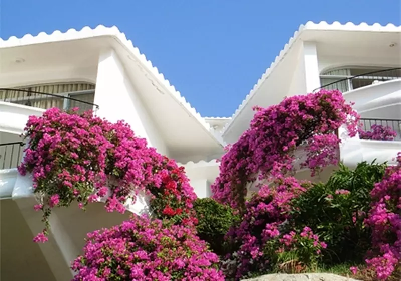 Fotos del hotel Dolphin Cove Inn:  15