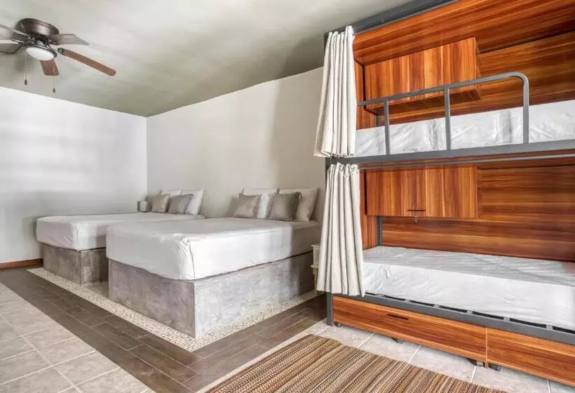 Fotos del hotel Selina Tulum:  21