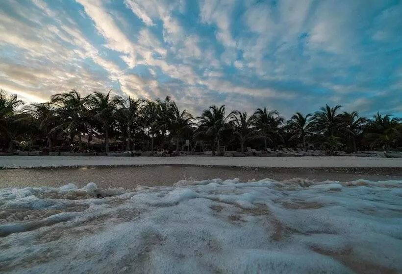 Fotos del hotel Selina Tulum:  14