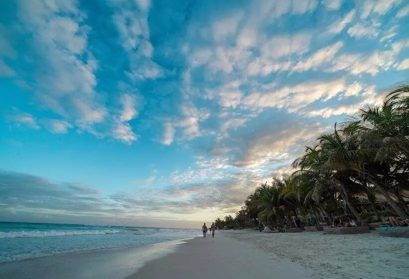 Fotos del hotel Selina Tulum:  55