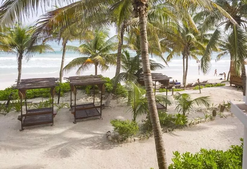 Fotos del hotel Selina Tulum:  18