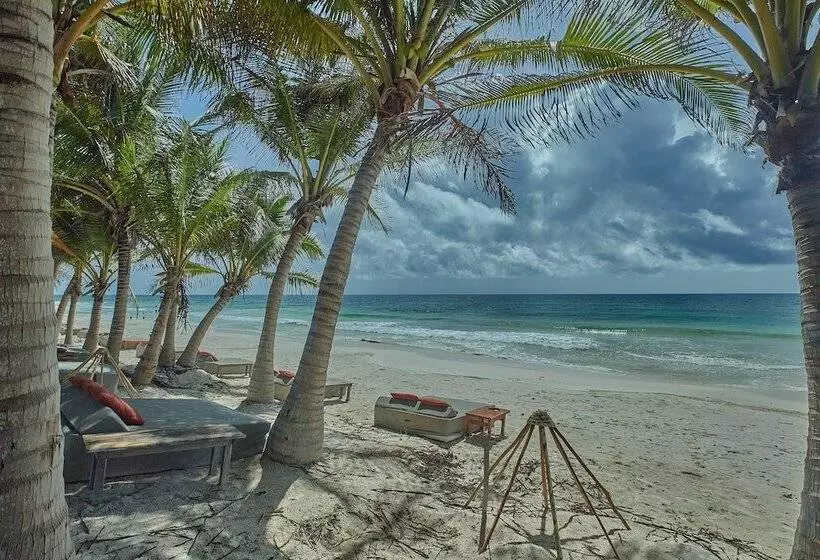 Fotos del hotel Selina Tulum:  57