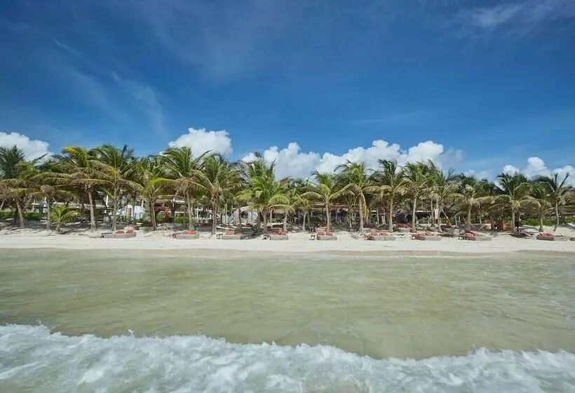 Fotos del hotel Selina Tulum:  15