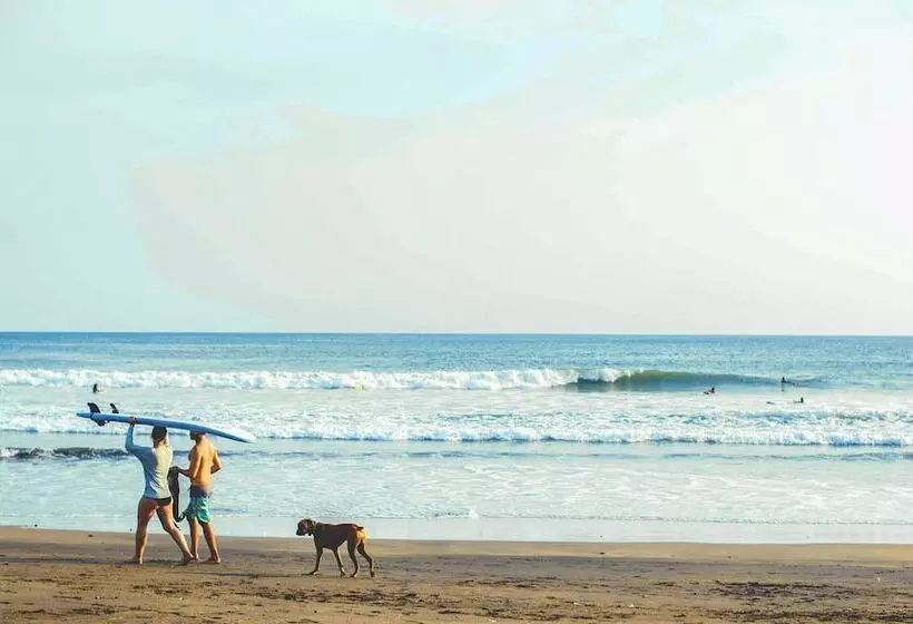 Fotos del hotel Selina Tulum:  17