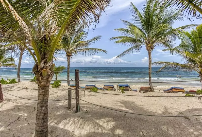 Fotos del hotel Selina Tulum:  16