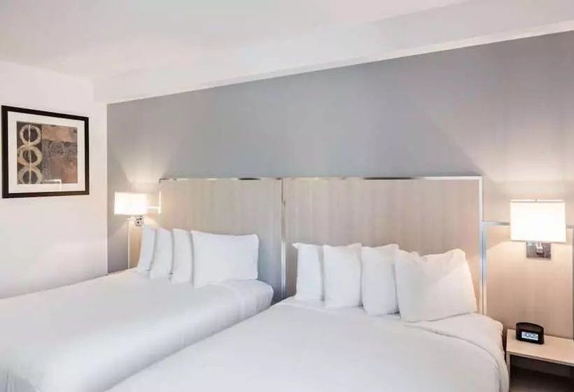 Fotos del hotel The Gatsby Hotel:  2