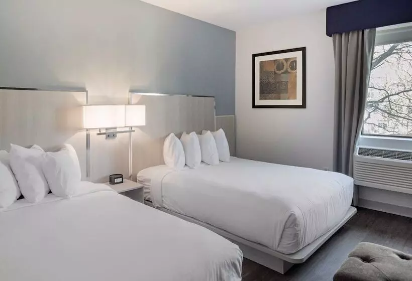 Fotos del hotel The Gatsby Hotel:  16