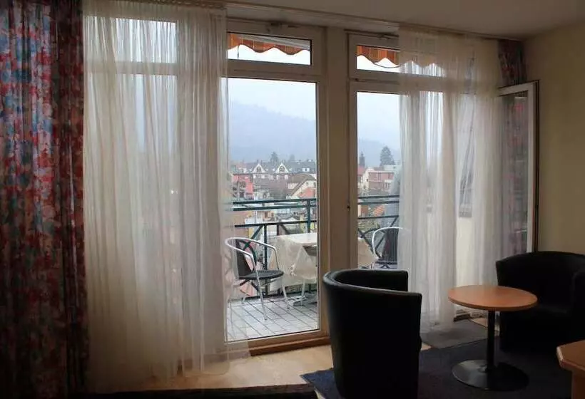 Fotos del hotel Schiller:  5