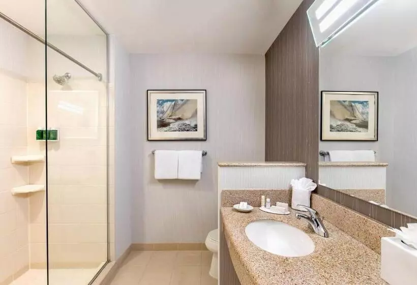 Fotos del hotel Courtyard Boston Copley Square:  15