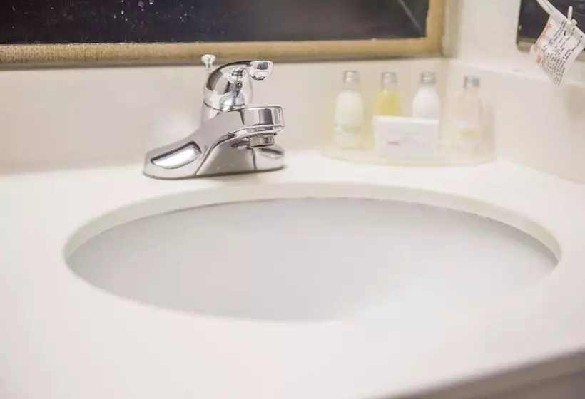 Fotos del hotel Hudson River:  17