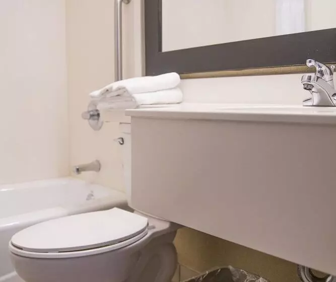 Fotos del hotel Hudson River:  5