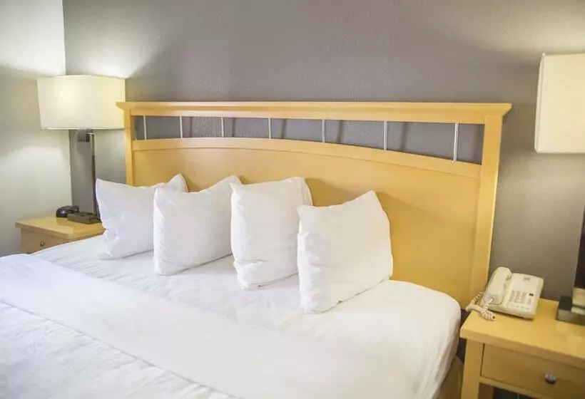 Fotos del hotel Hudson River:  19