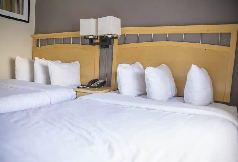 Fotos del hotel Hudson River:  16