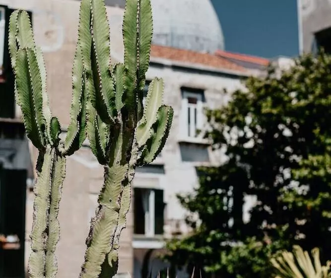 Fotos del hotel Costantinopoli 104:  25