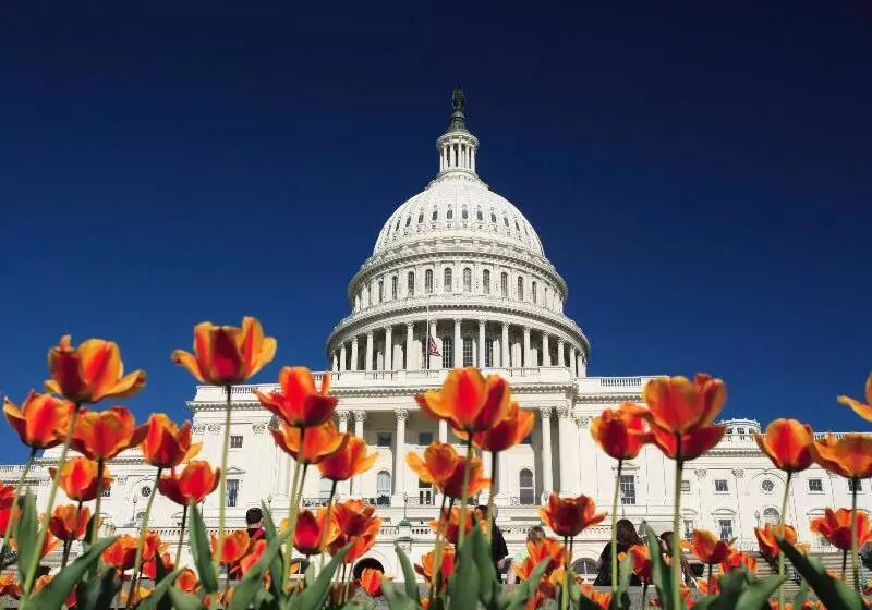 Fotos del hotel Kimpton Hotel Monaco Washington Dc, An Ihg:  19