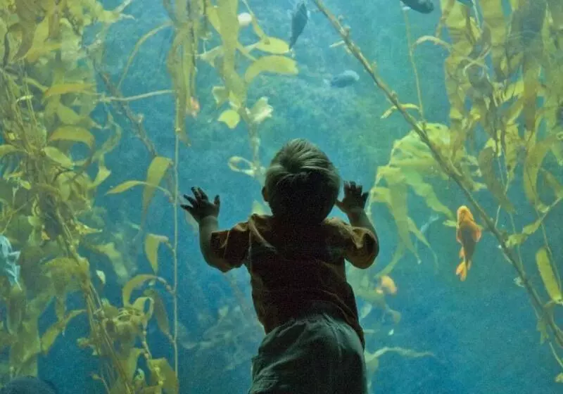 Fotos del hotel San Diego Marriott Gaslamp Quarter:  3