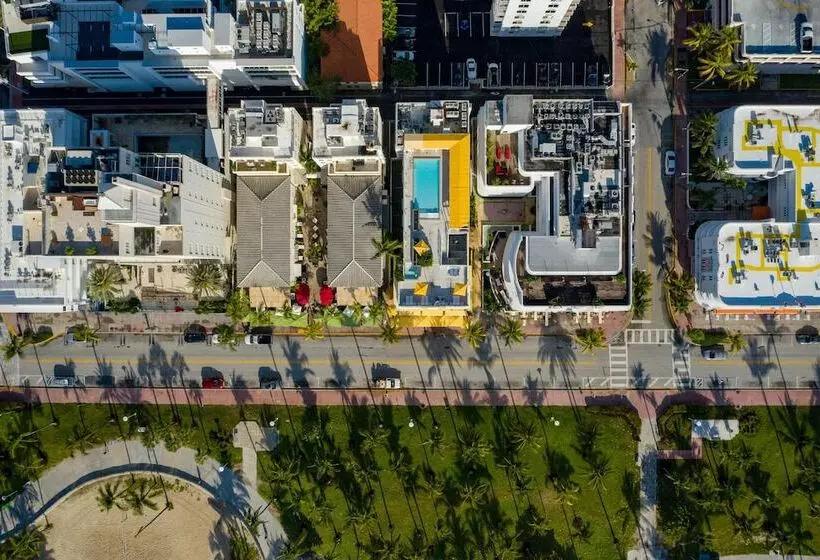 Fotos del hotel Leslie Hotel Ocean Drive:  18