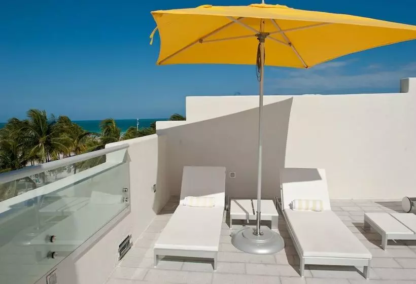 Fotos del hotel Leslie Hotel Ocean Drive:  8