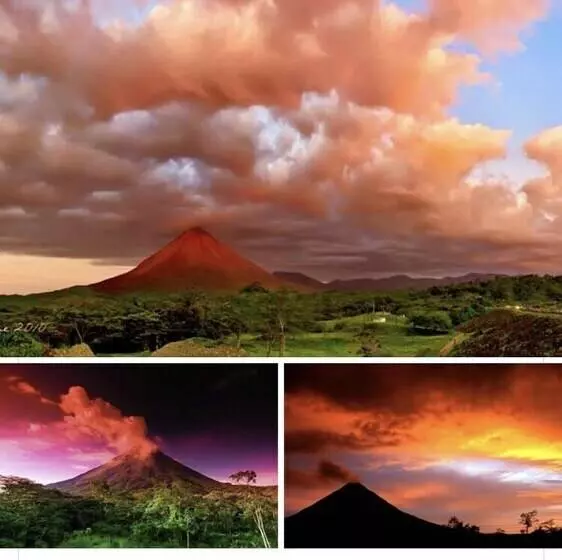 Fotos del hotel Luigis:  7