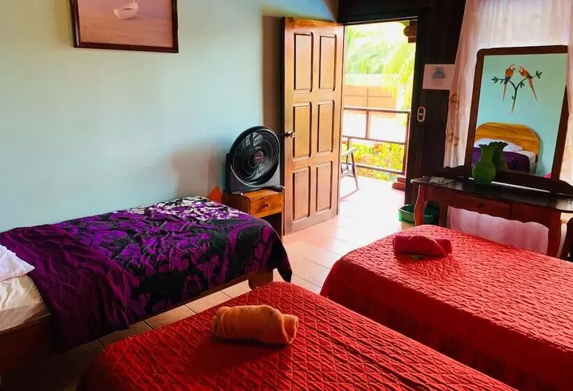 Fotos del hotel Luigis:  12